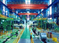 中國一冶集團承建的武鋼冷軋鍍錫板生產(chǎn)線工程獲“魯班獎”